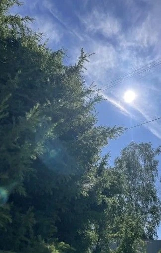 Доброе утро, жители Подлесновского МО! ☀️

🗓Сегодня 28 июля 2026 года, вторник.

❓Какой праздник от