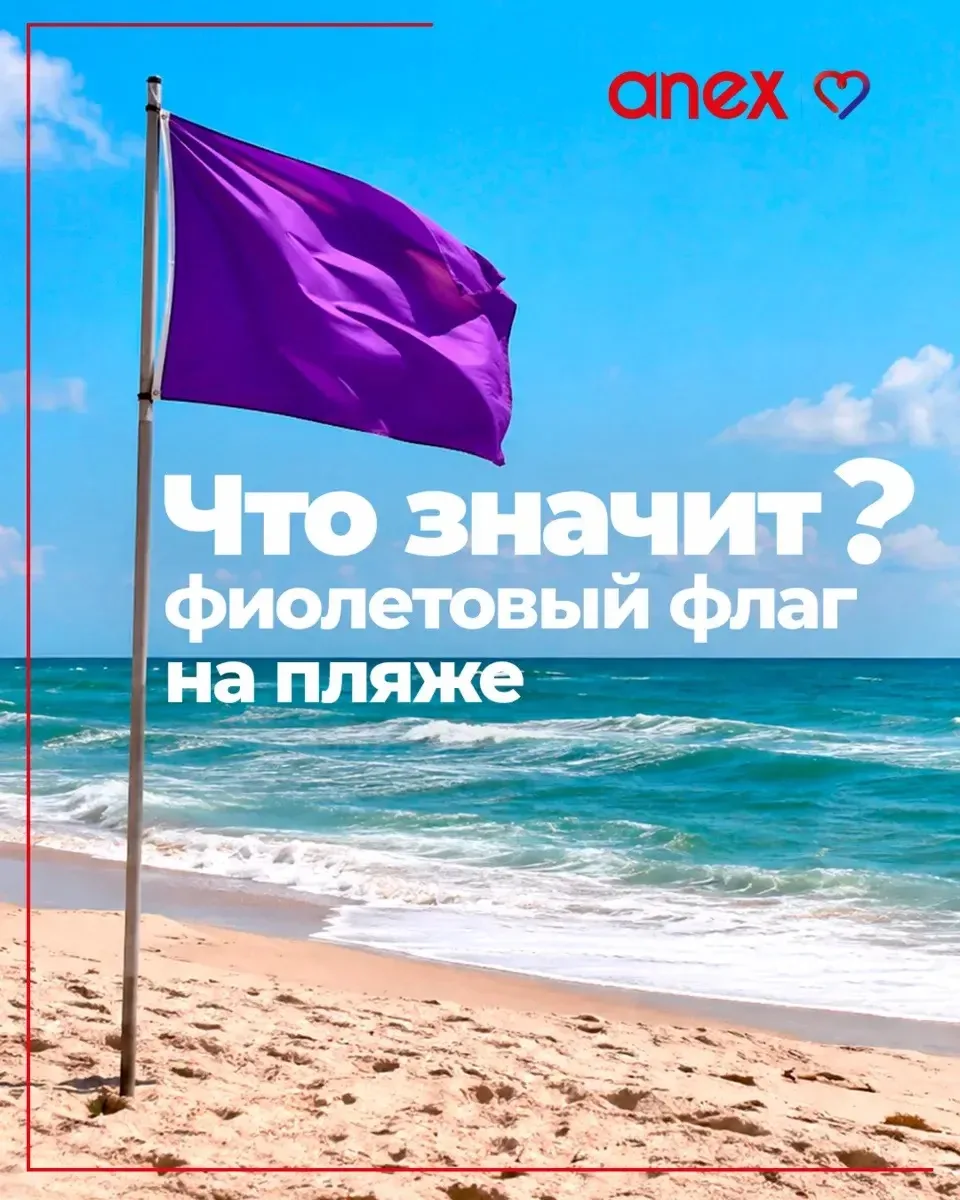 🚩Ред флаг знают все... А что насчет фиолетового?