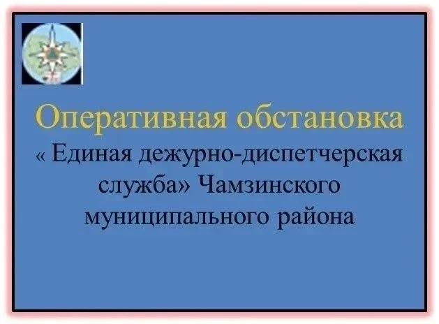 ❗️За минувшие сутки с 06:00 08 августа 2026 г. до 06:00 09 августа 2026 г. на территории Чамзинского