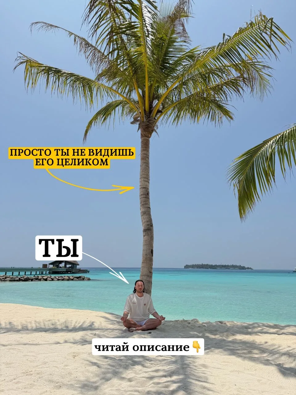 У каждого есть талант, но только избранные могут его раскрыть. А почему так? Почему нельзя всем раск