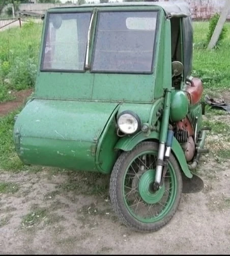 Что за лев этот тигр...