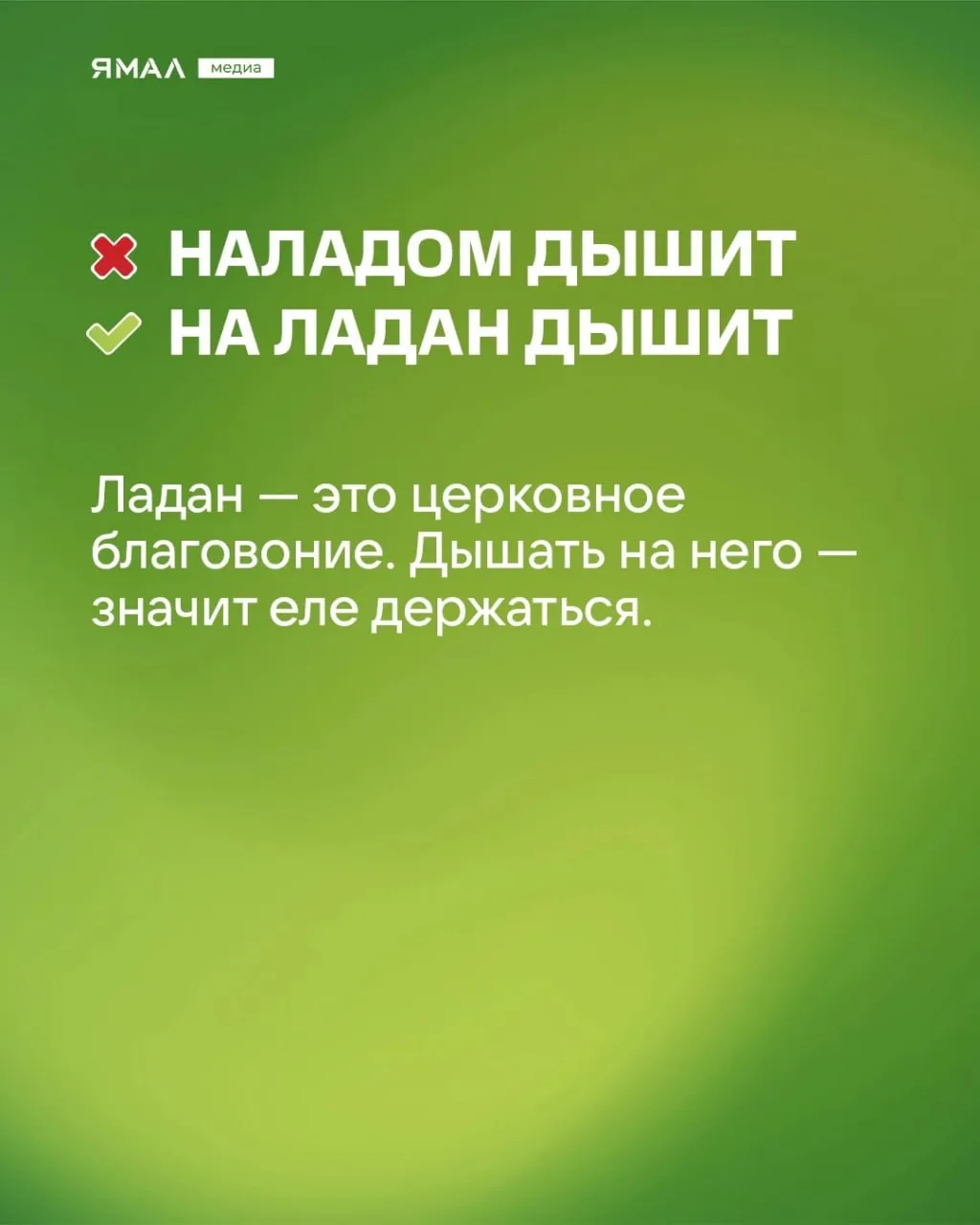 🫣 «Скрипя сердцем, он довёл себя до белого коления…»  Мы знаем, что вы говорите хотя бы одну из этих