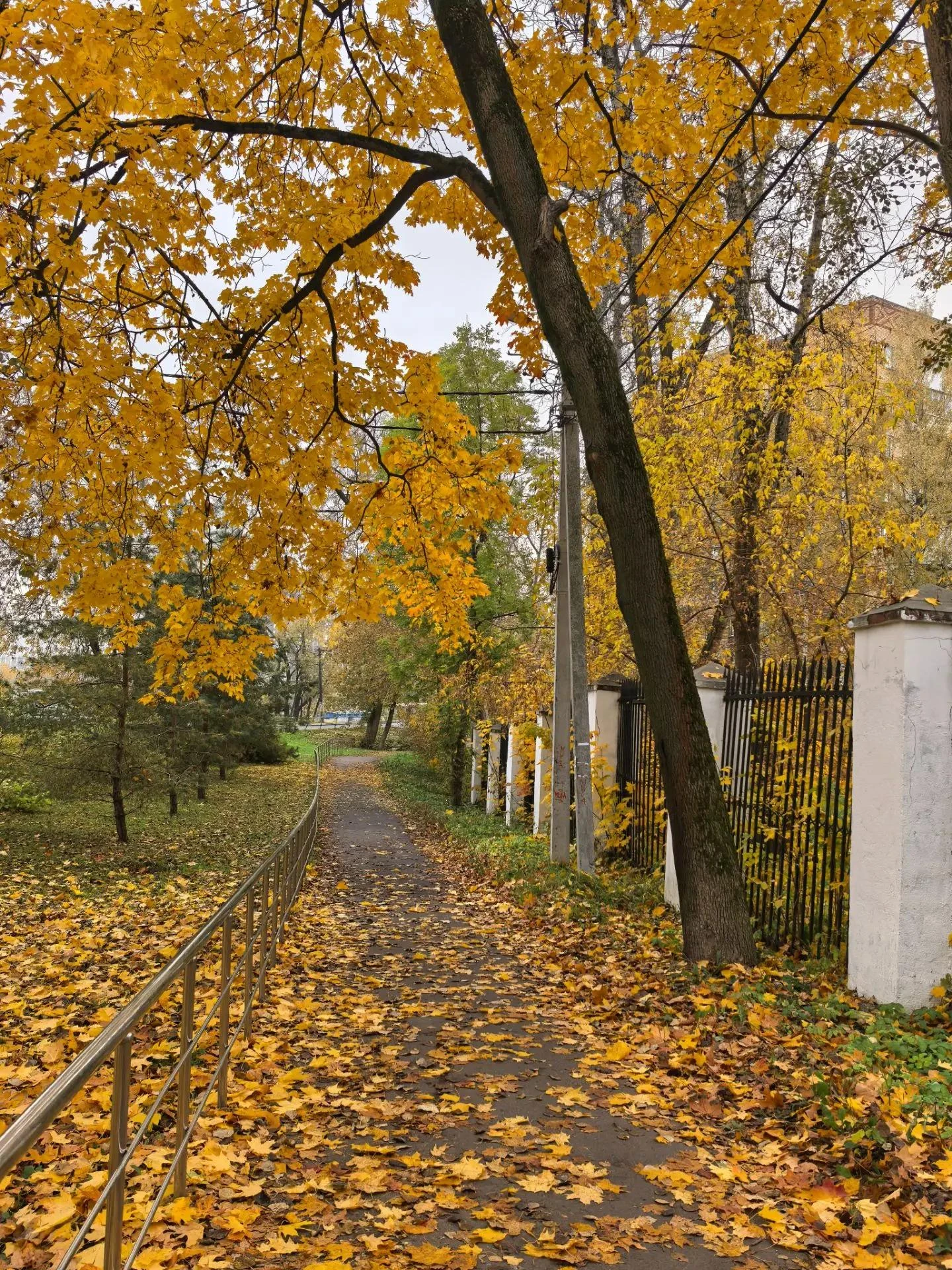 День особого значения