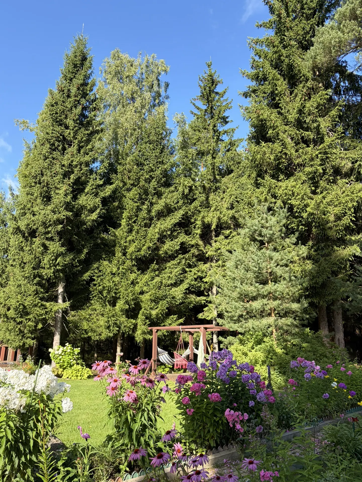Сертолово, Ленинградская область.
