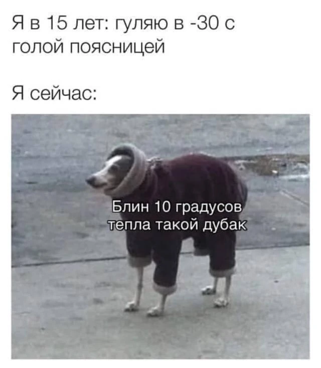 Доктор, я мерзну постоянно   П: «Доктор, я постоянно мерзну! Все в футболках, а я в свитере. Руки-но