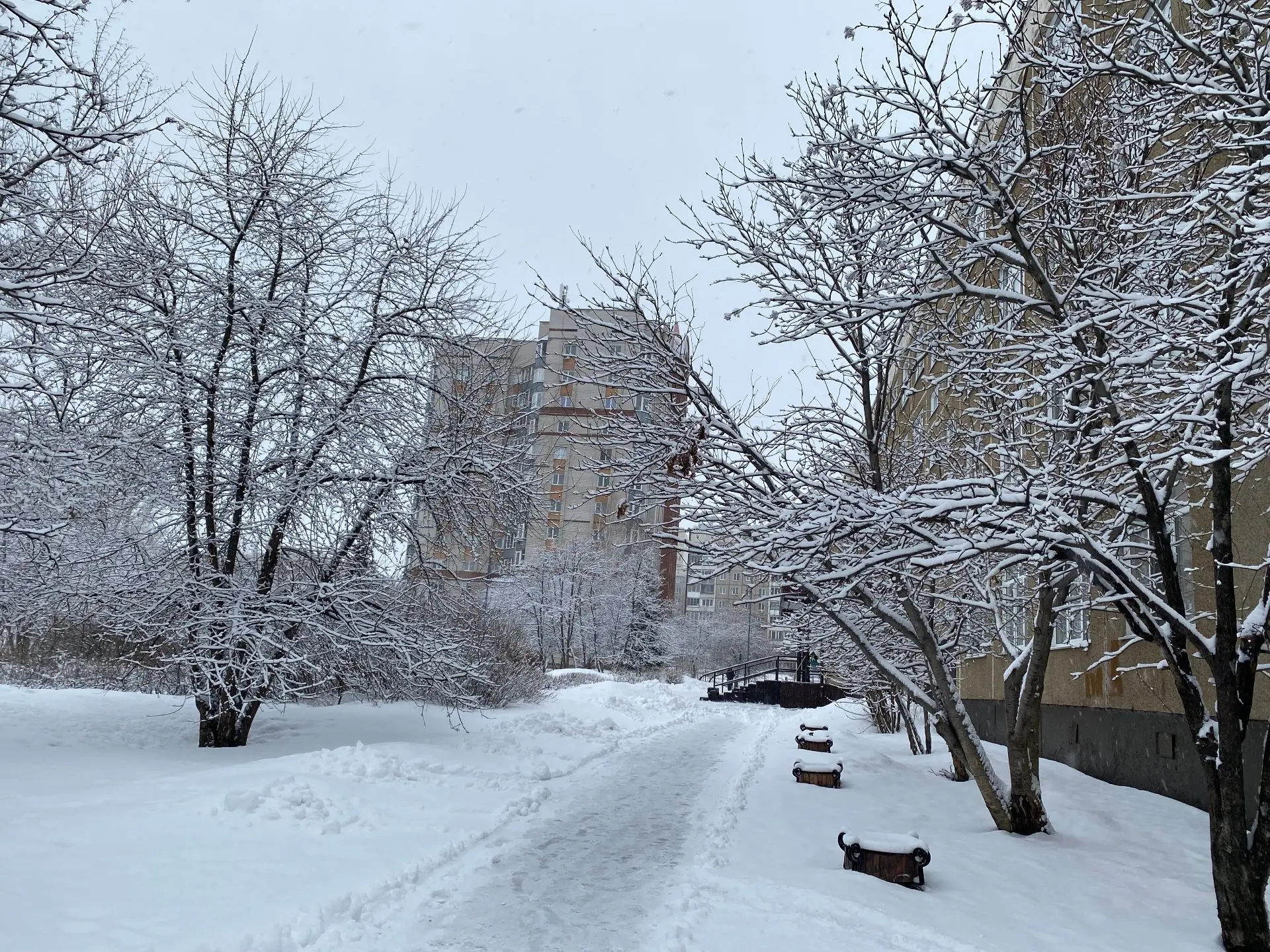 Доброго утра всем участникам школьного сообщества!  ❄️За окном — настоящая зимняя сказка. Интересно,