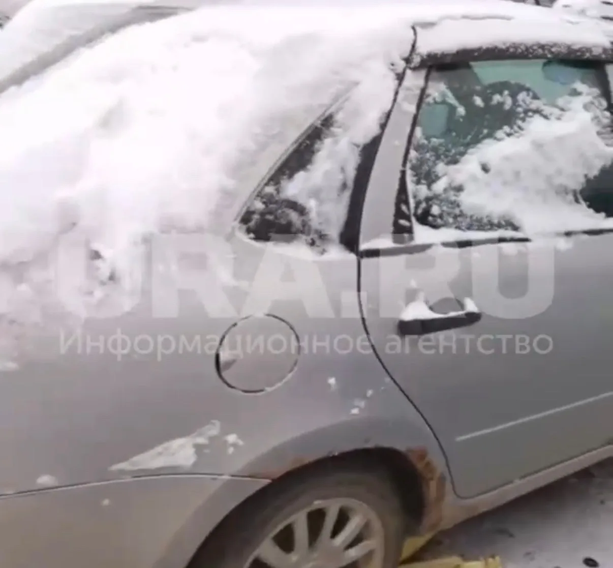 Медведь разворотил десять автомобилей на парковке в Ивделе