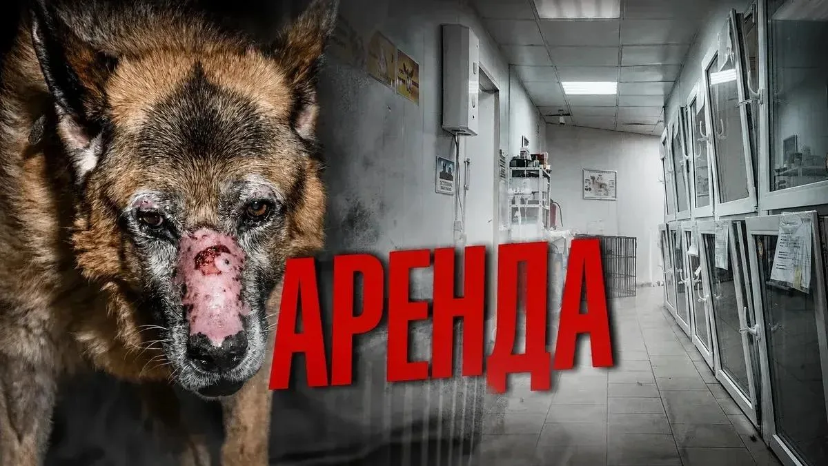 🚨🚨🚨 Самый важный сбор! Аренда ХОСПИСА, инвалиды МОЛЯТ!
