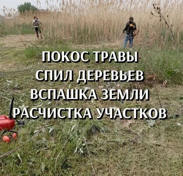 Покос травы, спил деревьев,  расчистка участка 🌲🌳 Тел. 89169840590