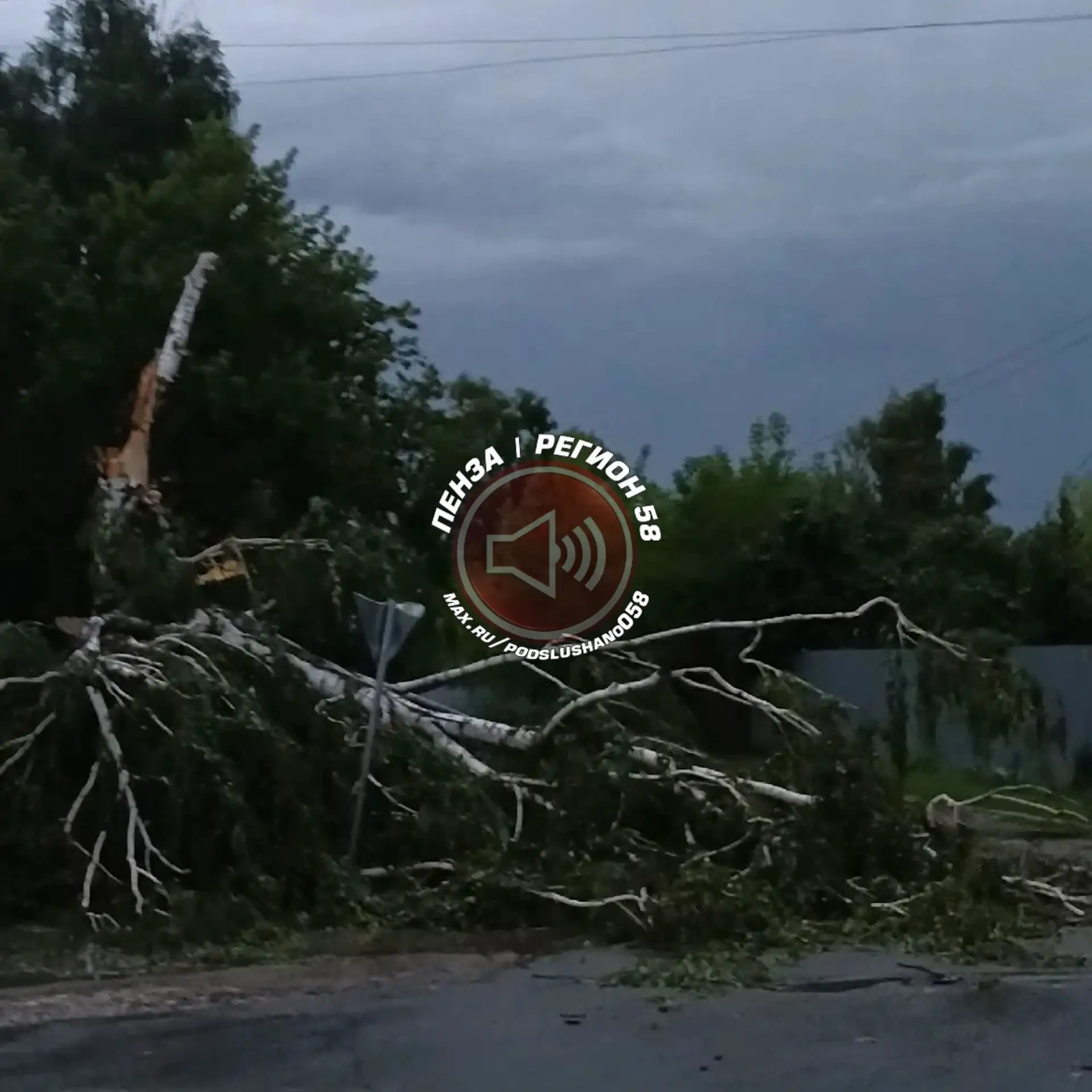 ❗️В городе Сурск Пензенской области непогода повалила дерево.

ЧП произошло напротив пожарной части.
