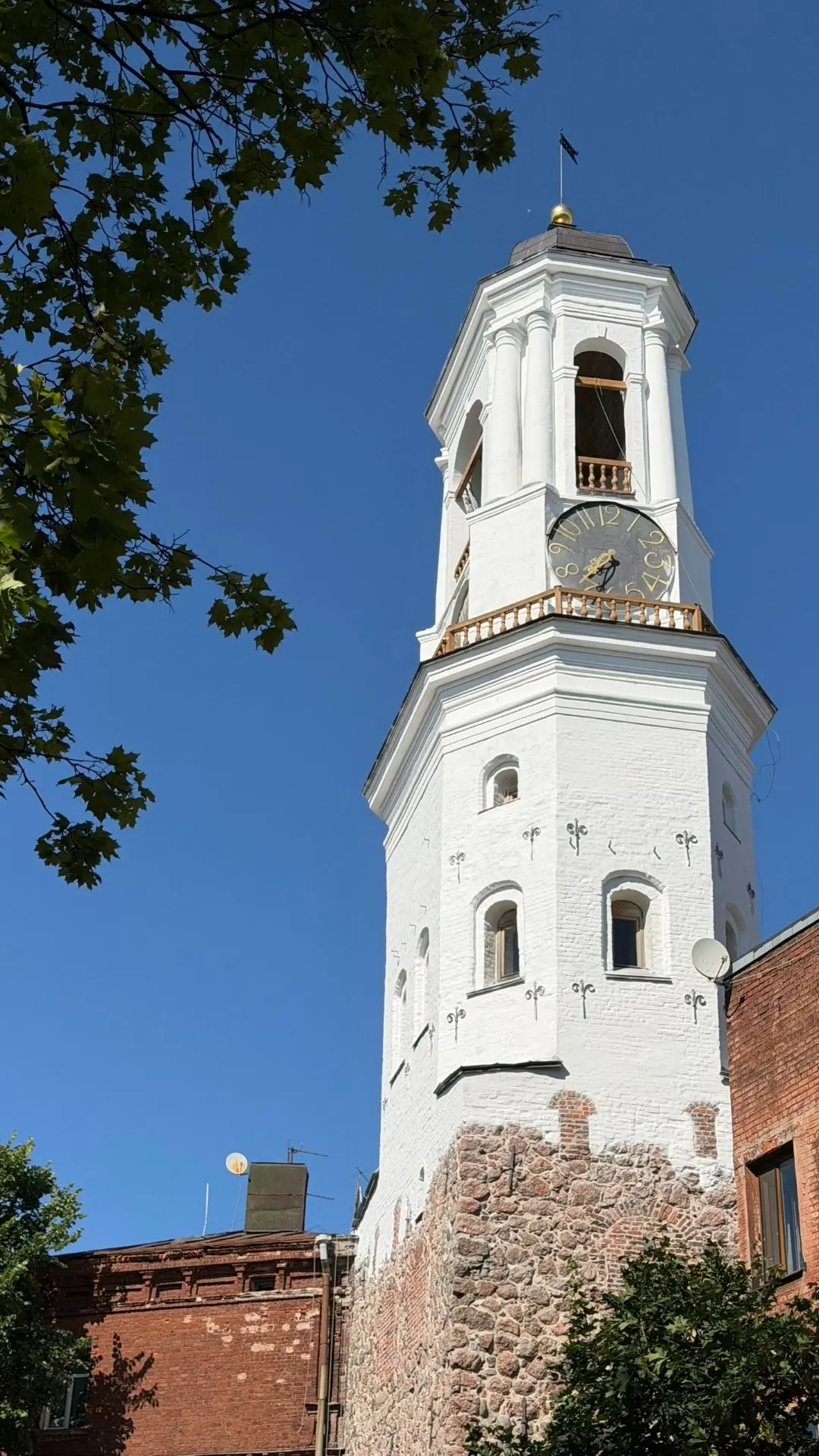 Фото: Юлия Шадрина