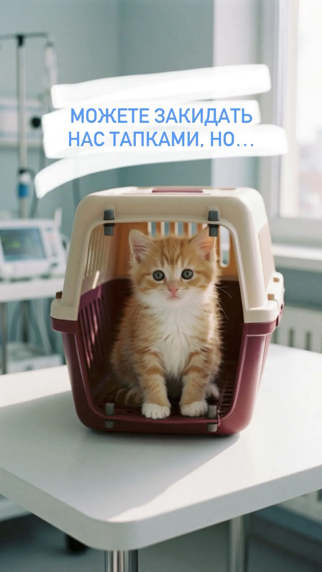 Представьте врача, к которому не страшно идти даже с самым тревожным хвостиком 🙀