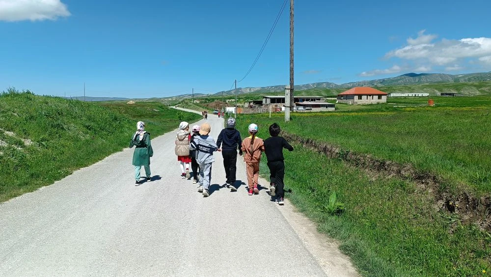 Прогулка и ознакомление с природой