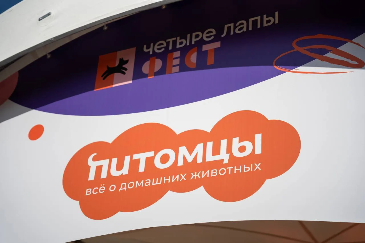 🥳«Четыре Лапы Фест» стартовал!
