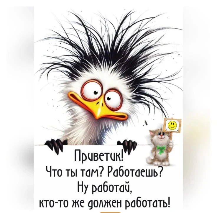 ОТКРЫТКИ