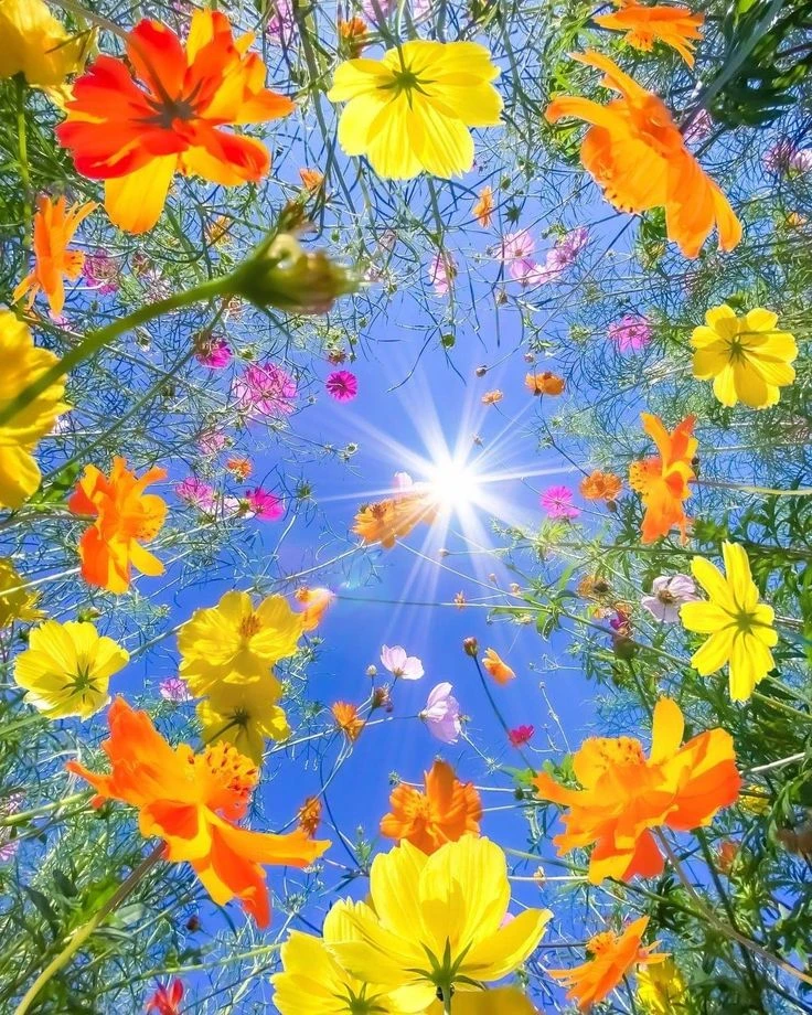 ☀️ Доброе по-настоящему летнее утро!

Приглашаем вас в наш магазин за летними обновками.
Вот что мы 