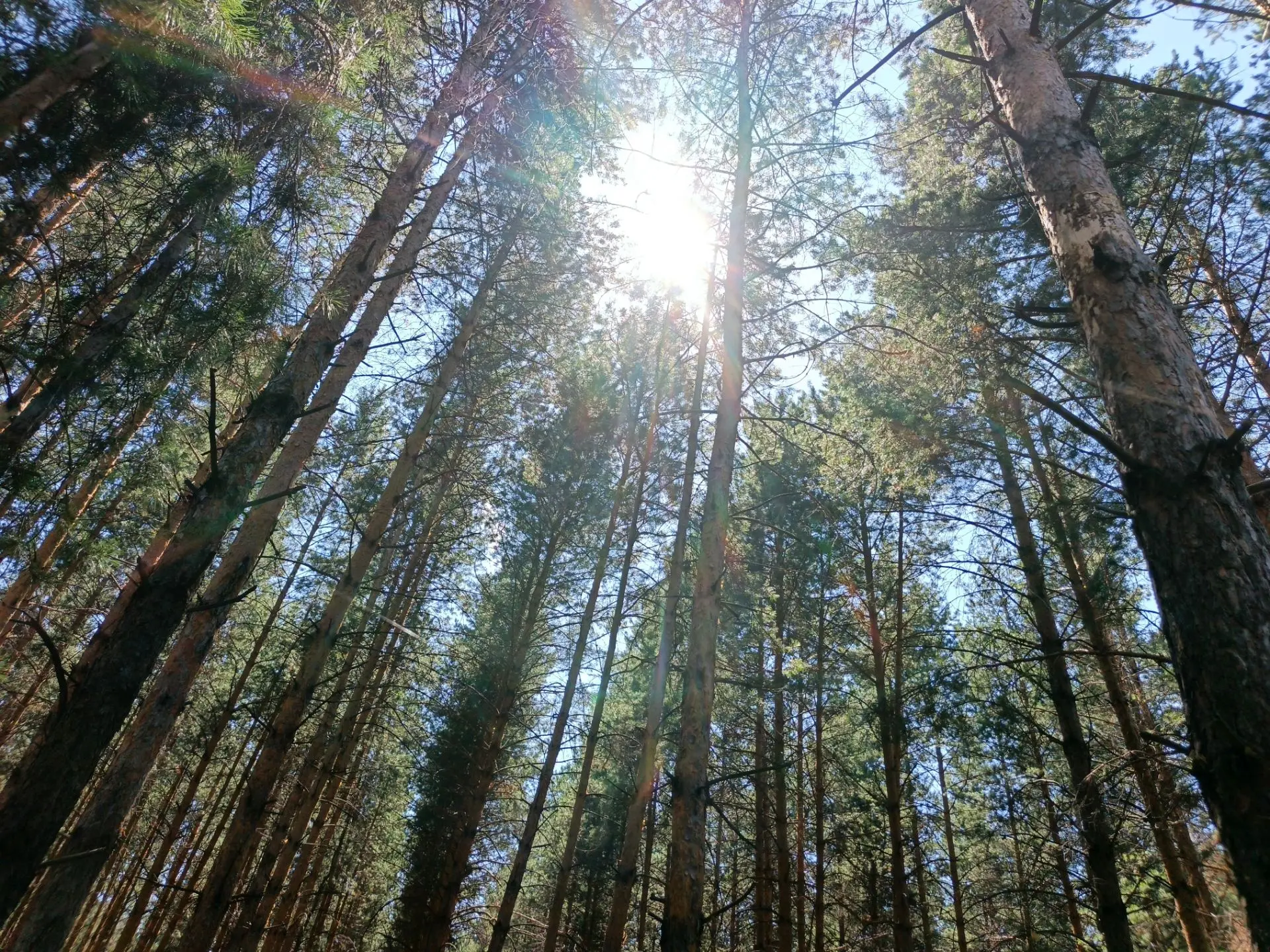 Ловим последние мгновения уходящего лета ☀️