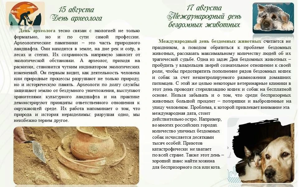 Медиа публикации