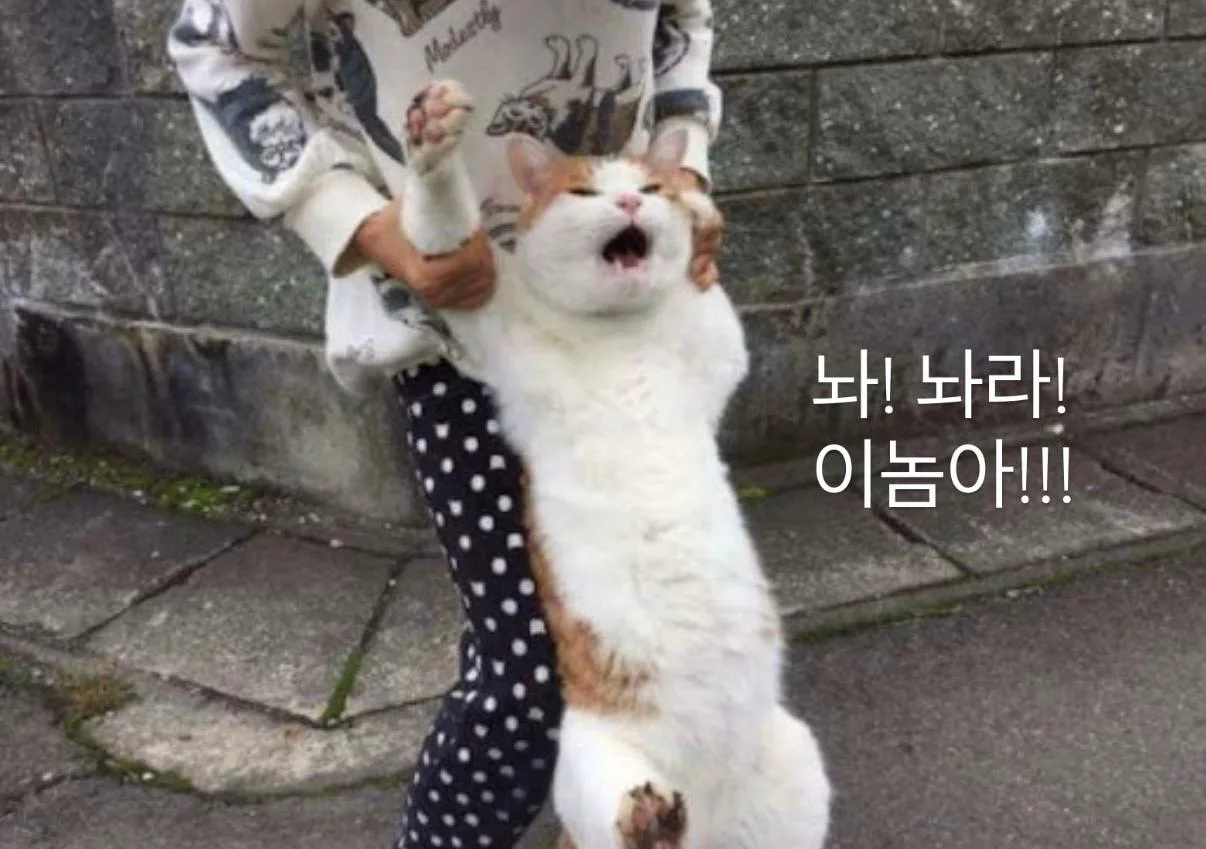 Больше 낳다, 놓다 и 넣다 никогда не поставят вас в тупик 🙅‍♀️