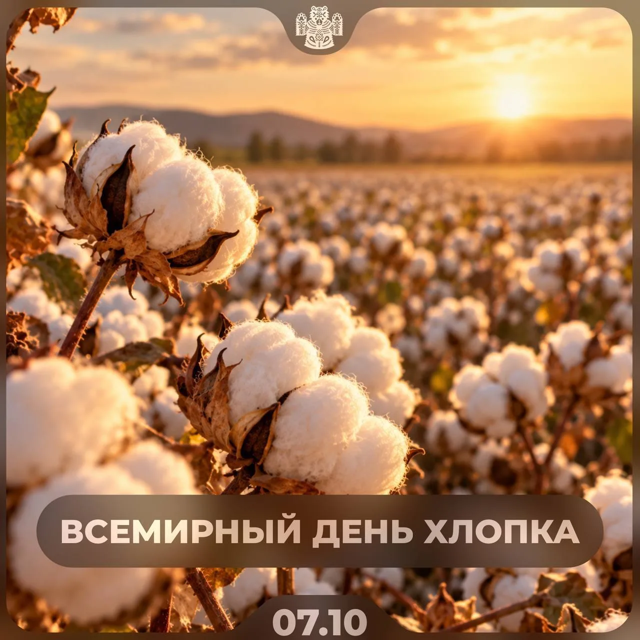 Сегодня — Всемирный день хлопка