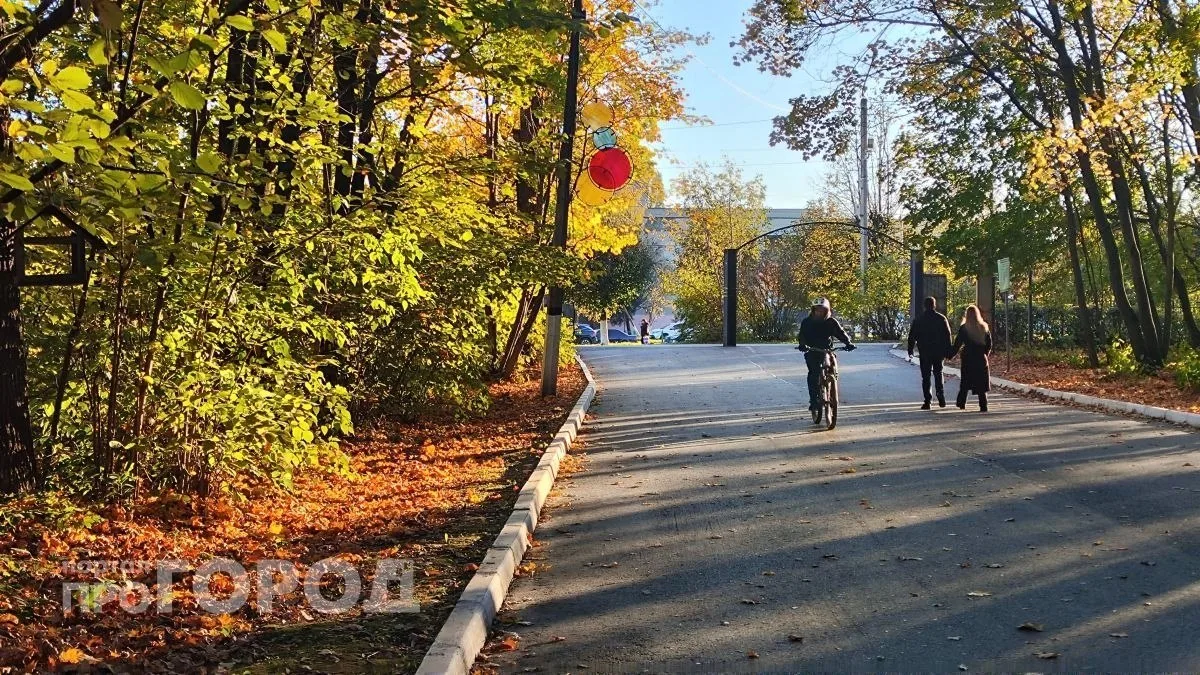 Золотая осень в Новочебоксарске в самом разгаре. Если планируете устроить фотосессию, с...