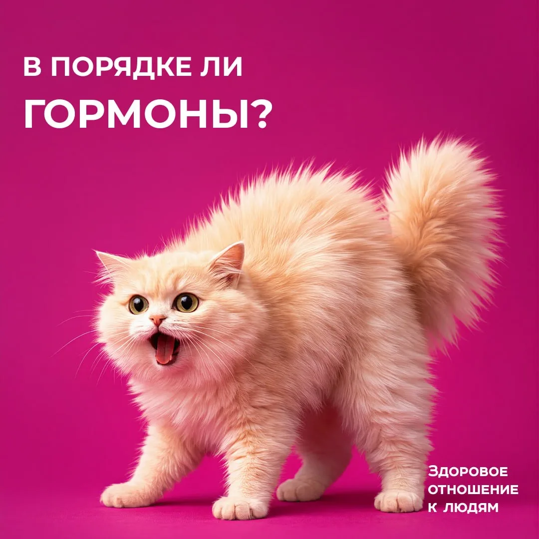 🧘🏻‍♀️В порядке ли гормоны? Оцените ваш гормональный статус со скидкой 15%… — публикация канала «KDL АНАЛИЗЫ»