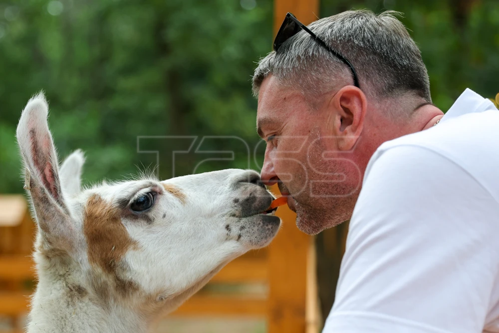 🦙 Контактный зоопарк в Донецке