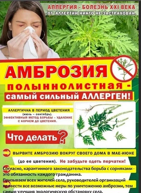 Уважаемые жители сёл Архиповское и Добровольное! Убедительная просьба осмотреть террито...