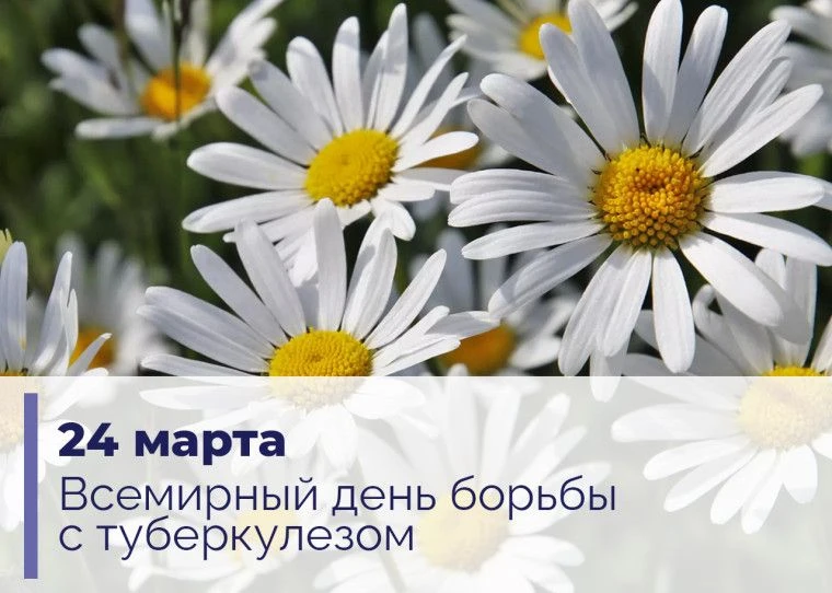 Всемирный день борьбы с туберкулёзом!