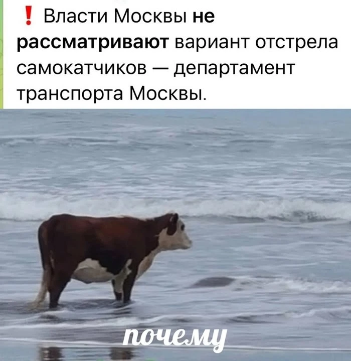 Актуально?