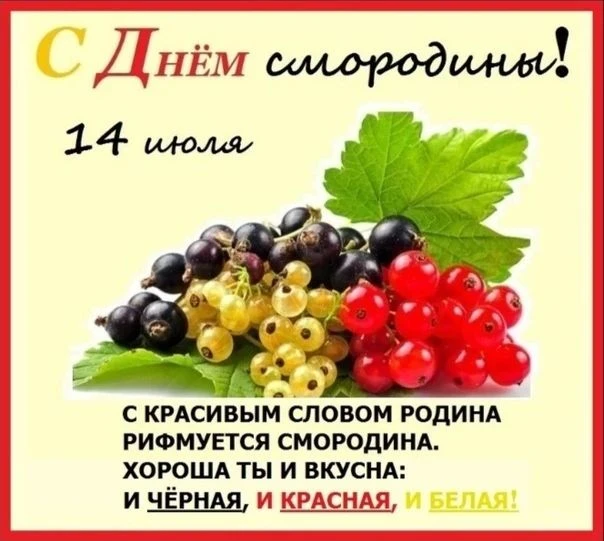 💥В средней группе «Теремок» прошёл день «Смородины»!💥

Дети с огромным удовольствием украшали вето
