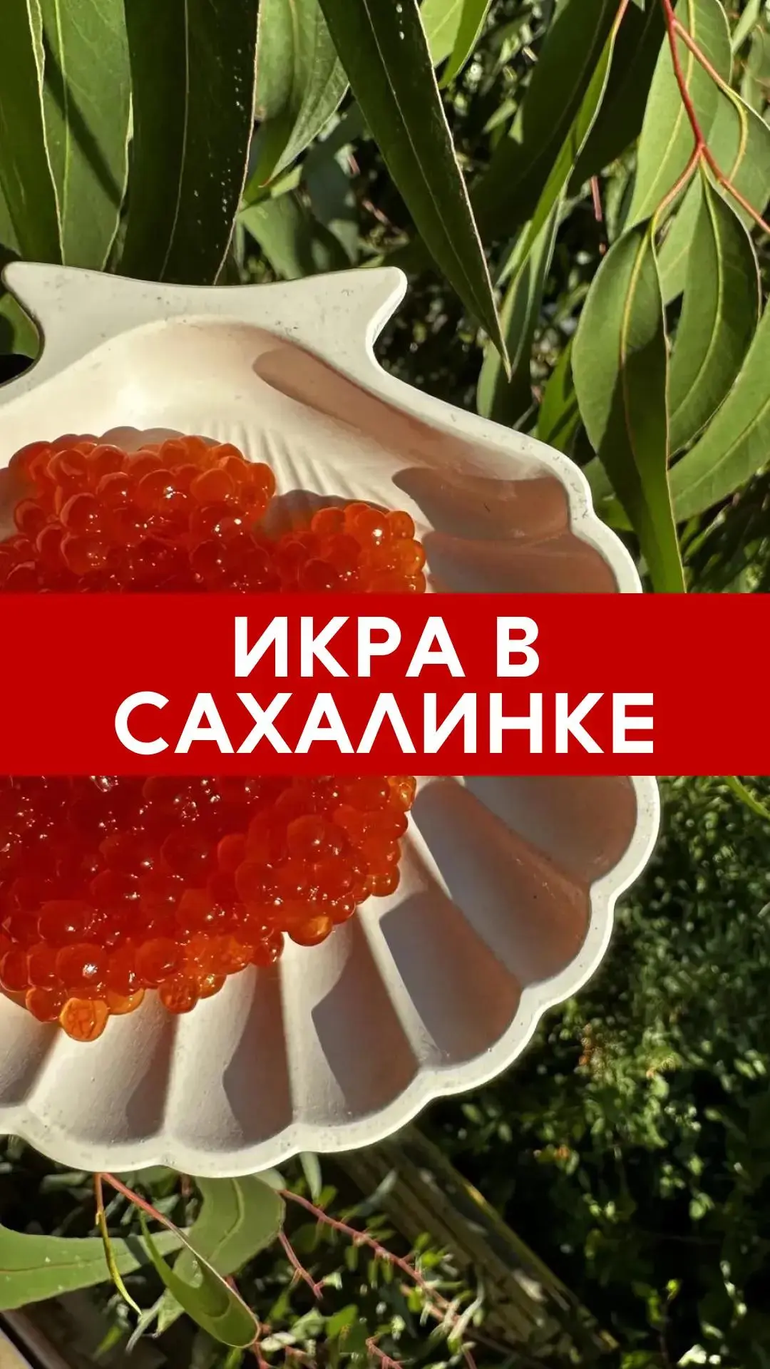 😍 ИКРА В «САХАЛИНКЕ»