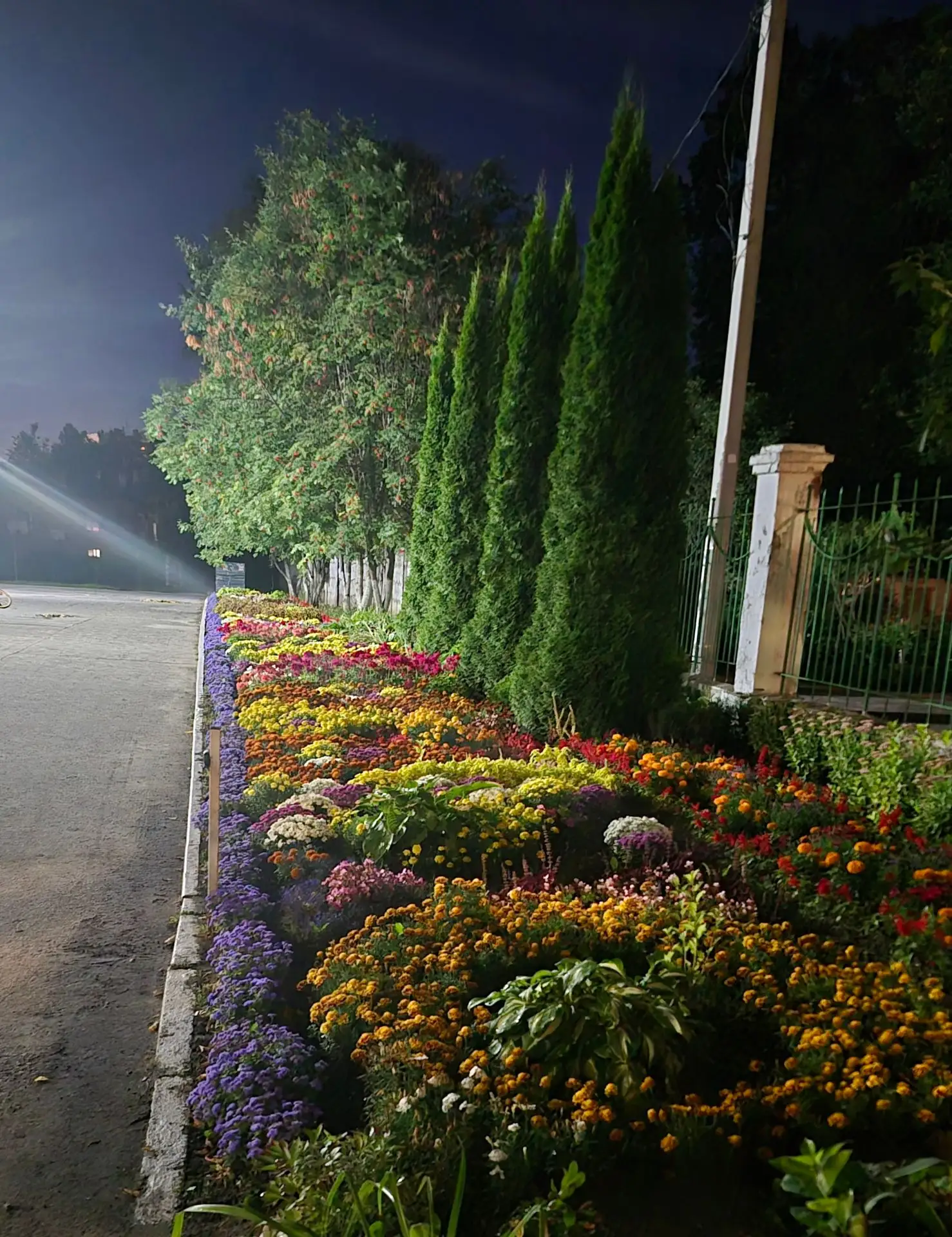 Даже ночью наш цветник удивительно красив❤️
