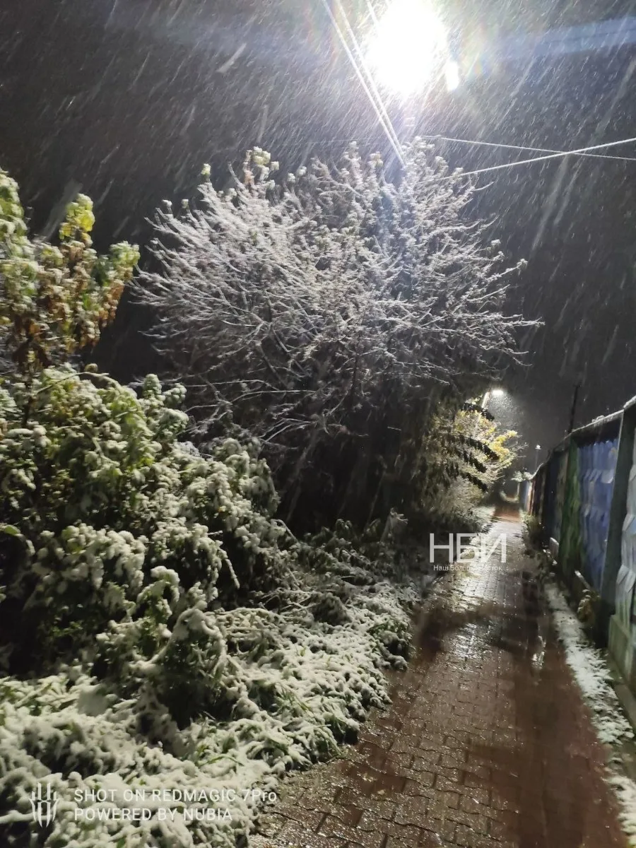 Первый снег ❄️