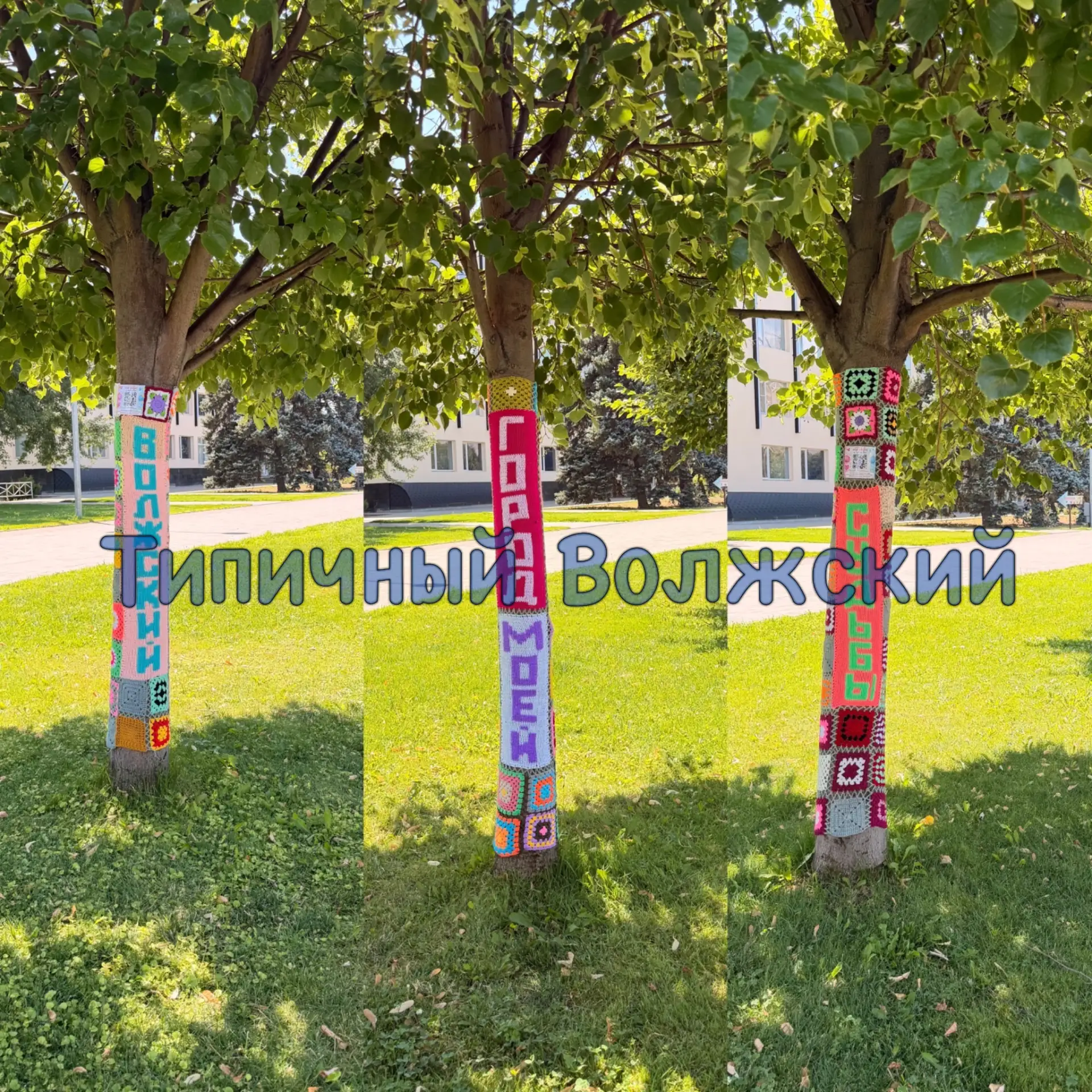 🌳 Ко Дню города в парке «Волжский» украсили 12 деревьев вязаными полотнами

Участницы клуба «28 пет