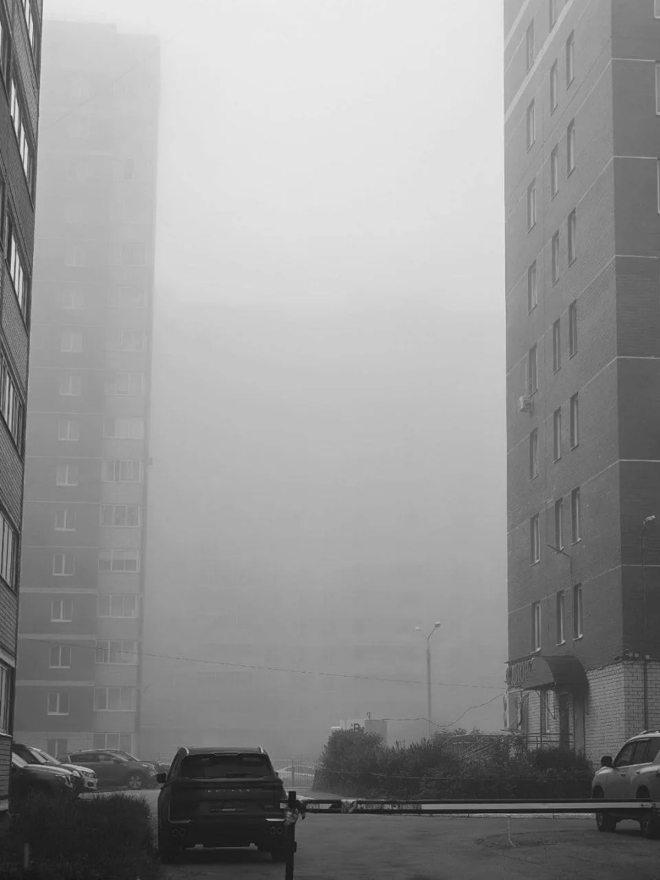 🌫️Утренний туман в Перми