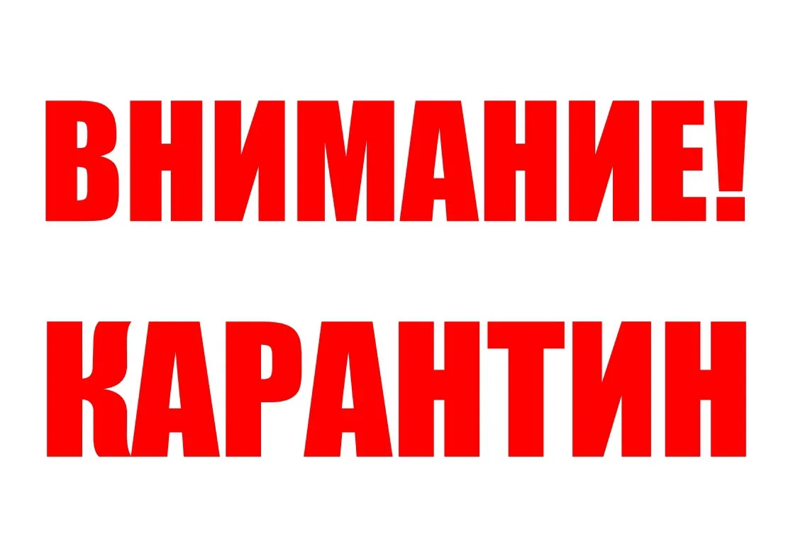 ❗️Школы Энгельса начали закрывать на карантин