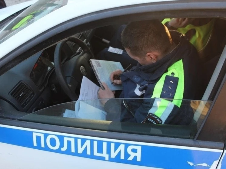 Житель Марий Эл заплатит штраф и компенсацию за нападение на полицейского