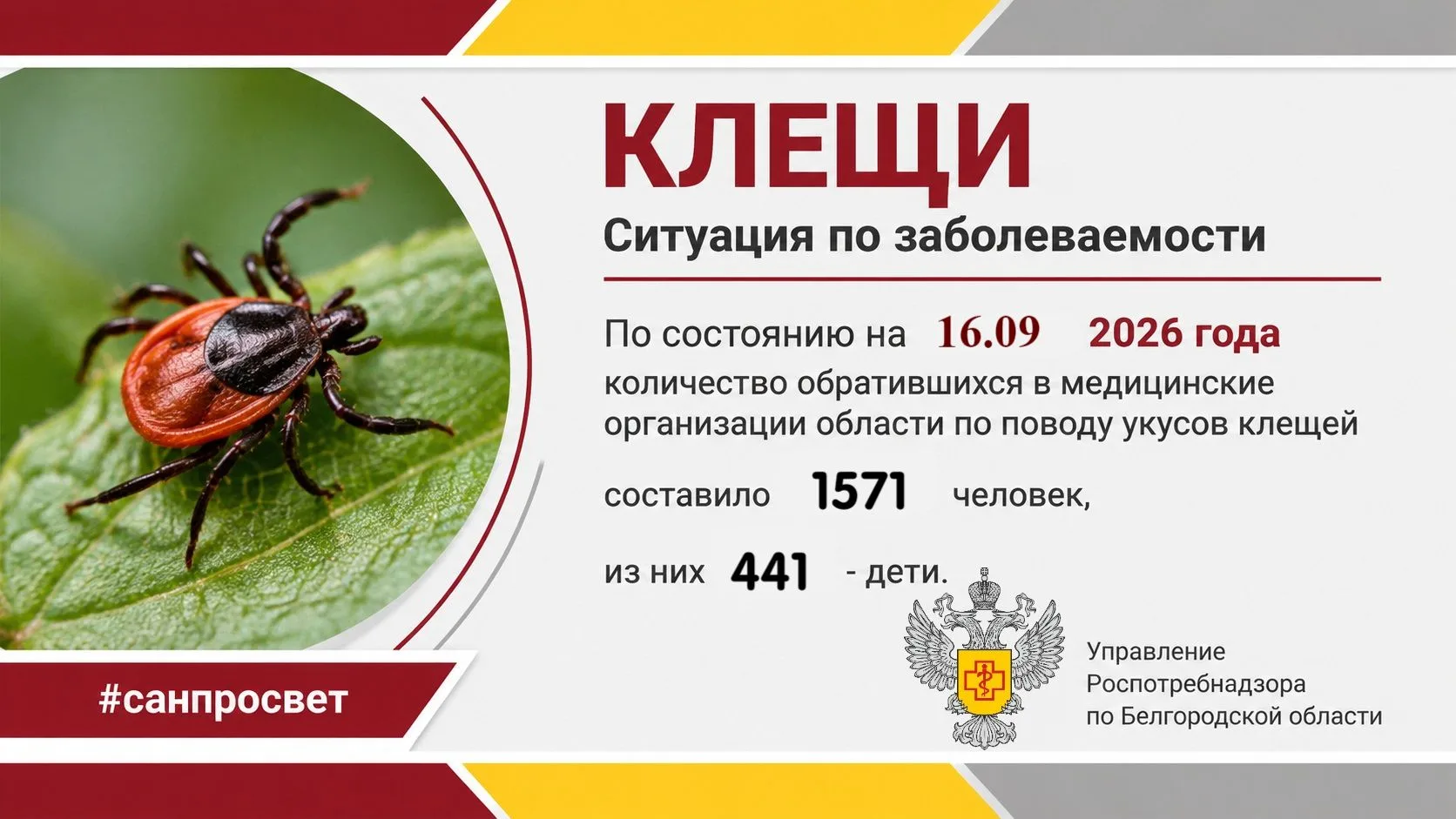 ⚠ Осторожно, клещи!