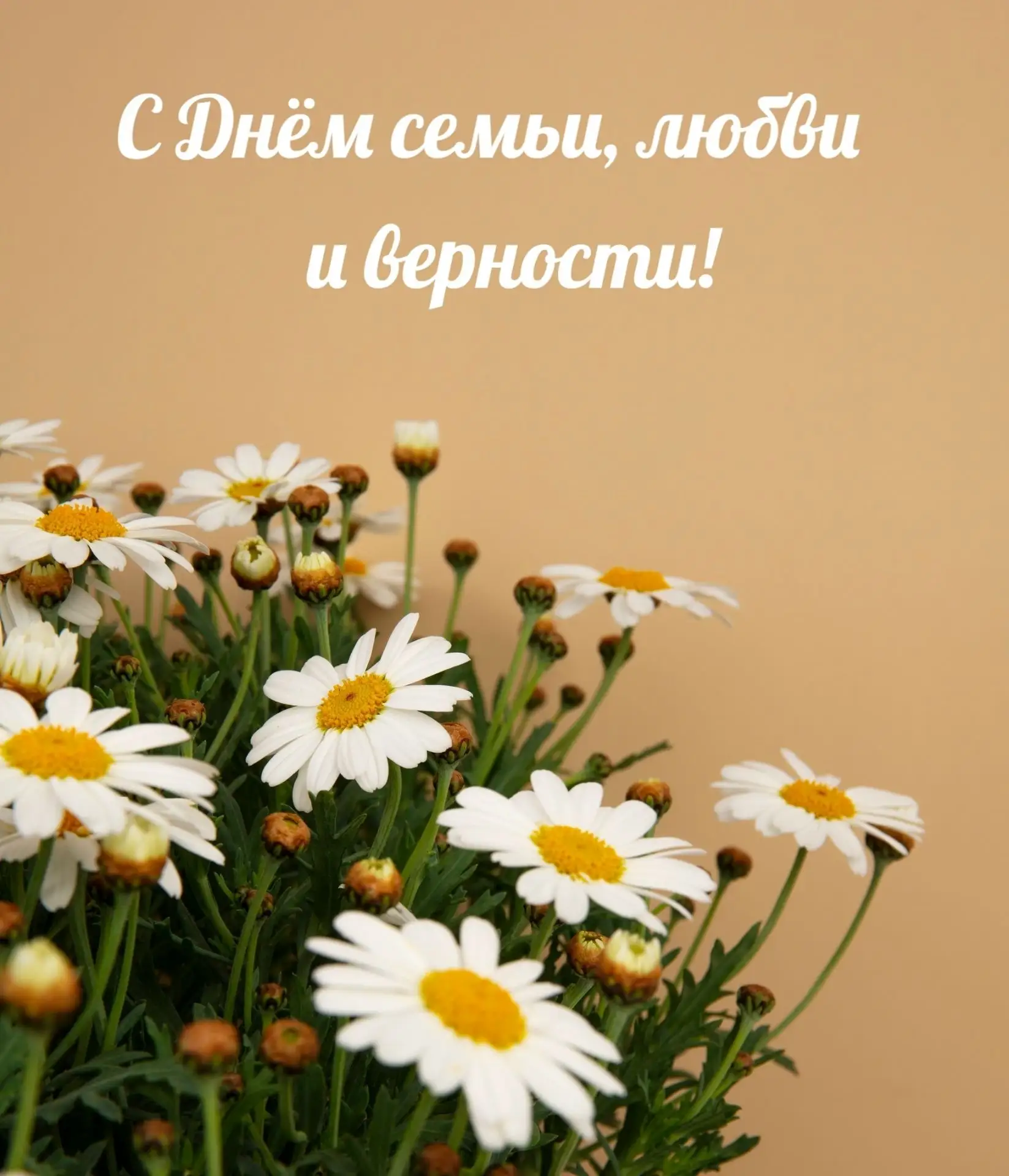 Уважаемые хохольцы, примите самые искренние поздравления с Днём семьи, любви и верности...