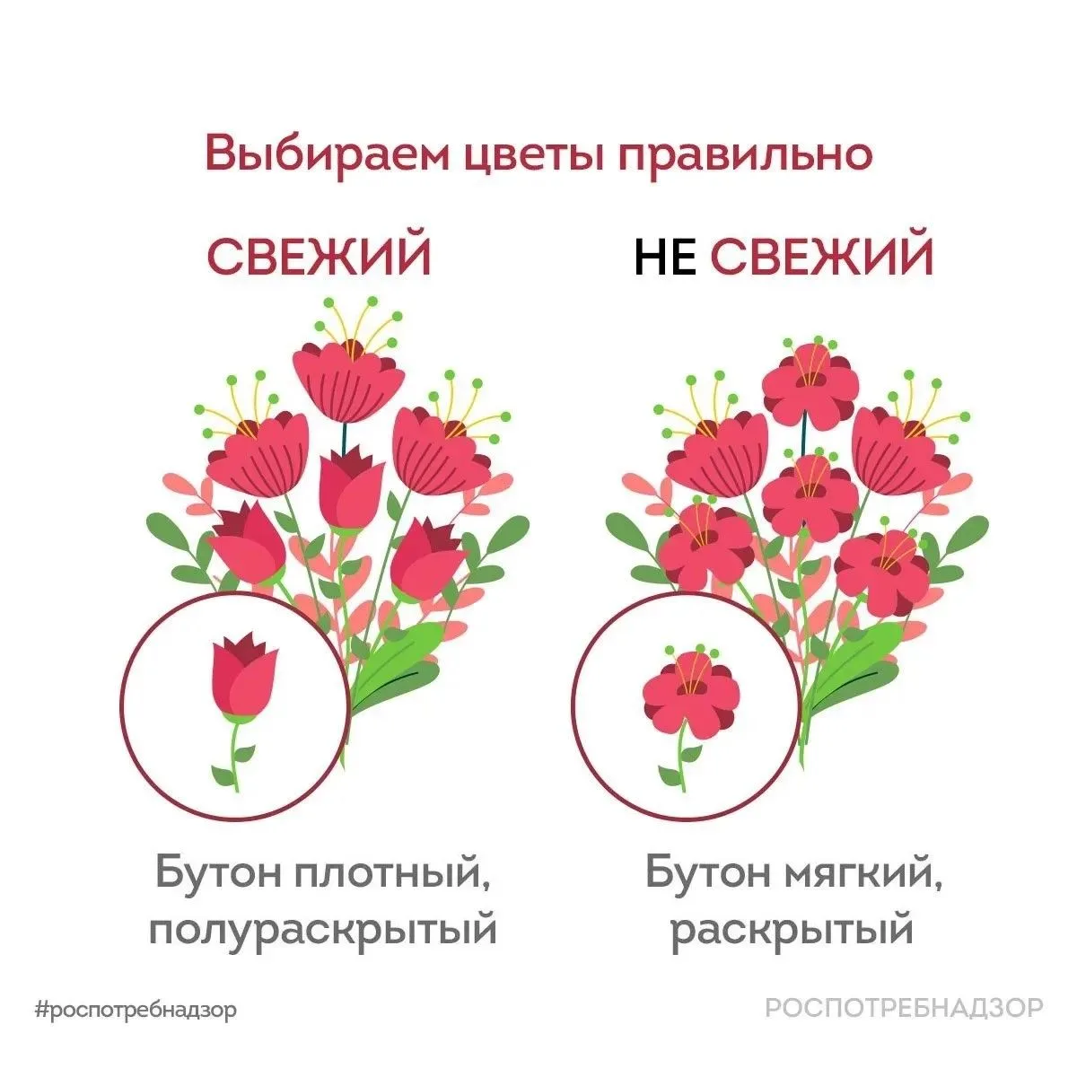 Рекомендации от Роспотребнадзора по выбору и хранению живых цветов для школьного букета 💐