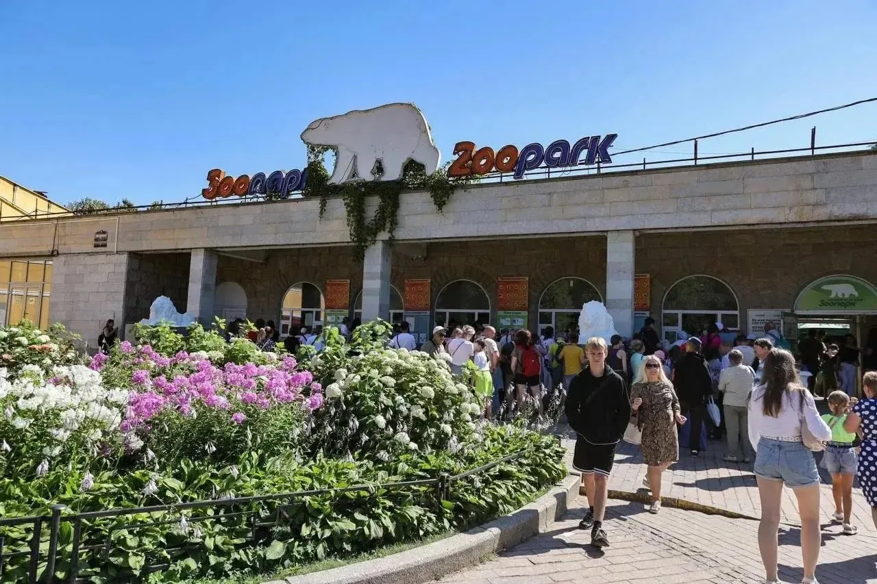 👏 1 сентября школьники могут бесплатно посетить Ленинградский зоопарк