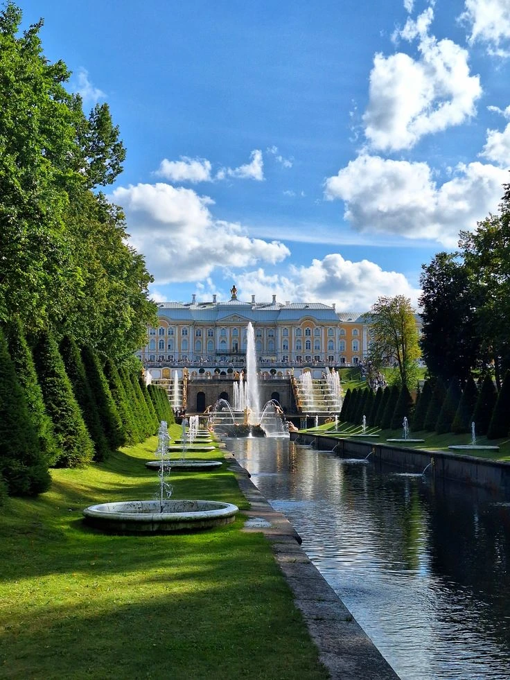 🌿📸 "Визуальная пауза"