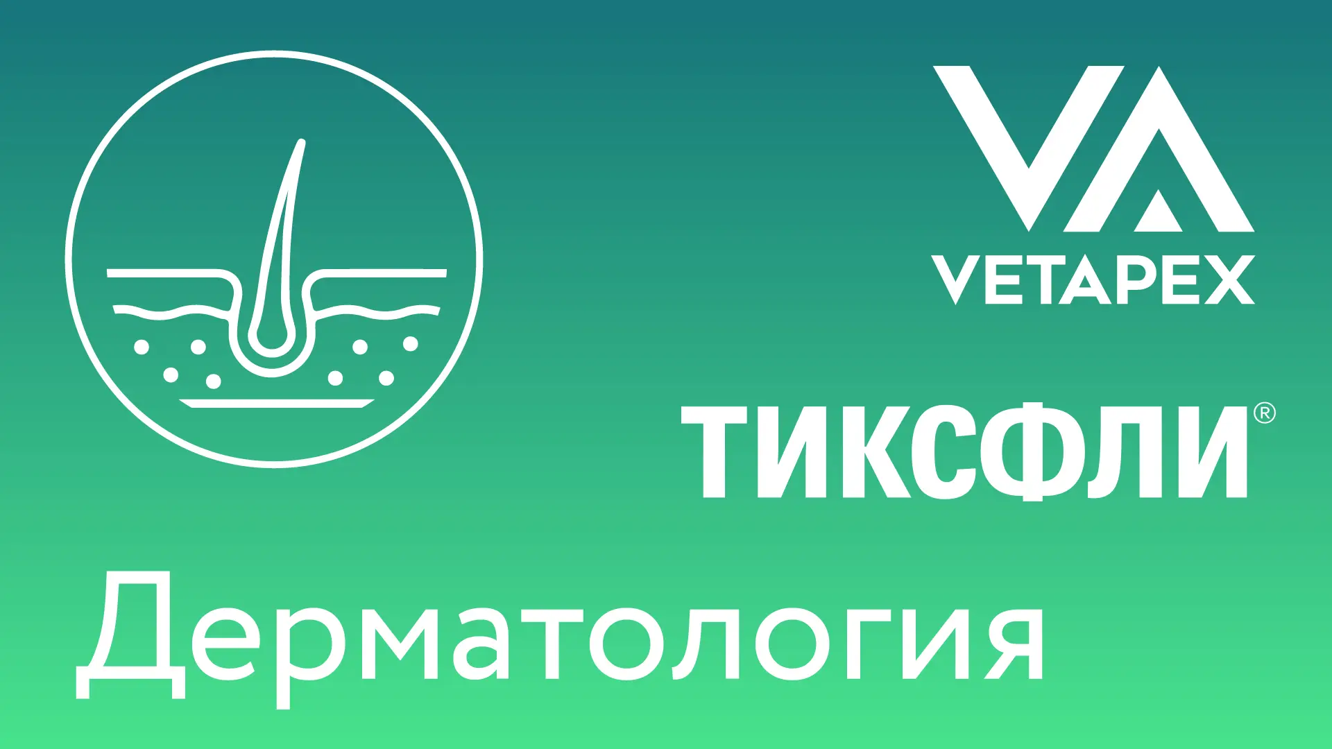 🔹Друзья, вы знаете, как мы рады новым знакомствам, новым совместным проектам с разными...