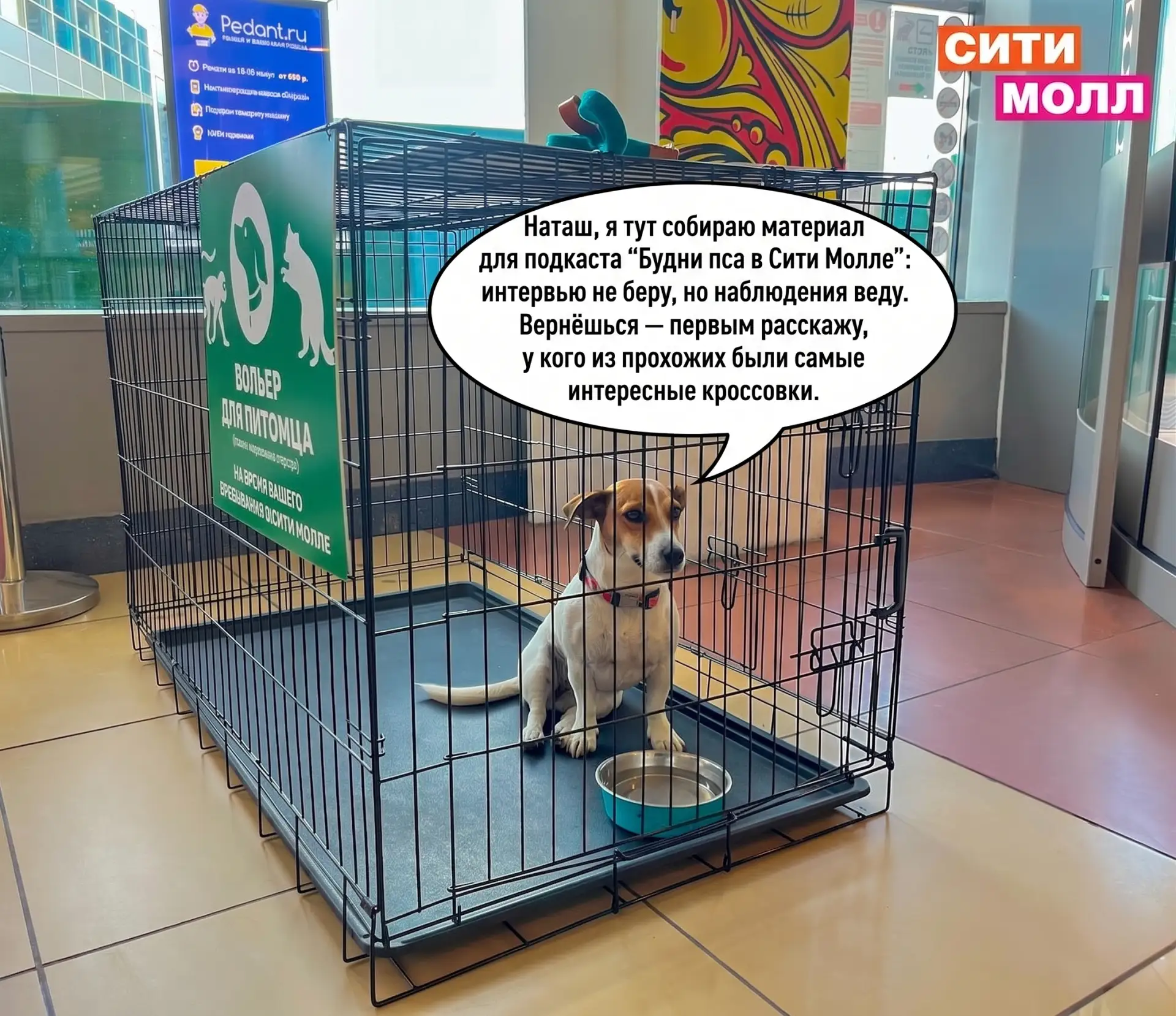 ПОЛЕЗНЫЕ СЕРВИСЫ в СИТИ МОЛЛЕ 🛅