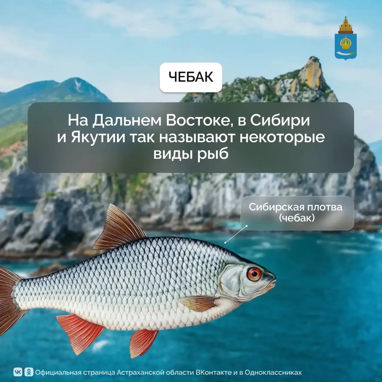 Продолжаем рубрику #четамвречи, в которой мы по-простому объясняем астраханские словечки.
Важно! Нес