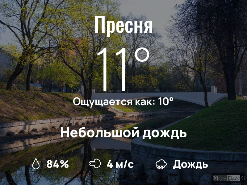 Что с погодой в Пресненском?
