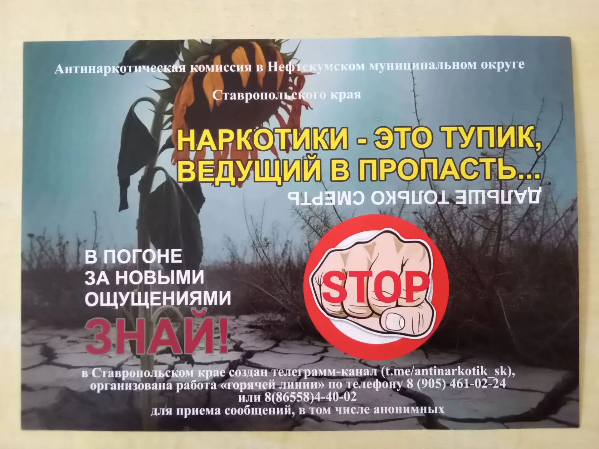 8 сентября для молодого и подрастающего поколения посёлка Зимняя Ставка работниками ДК ...