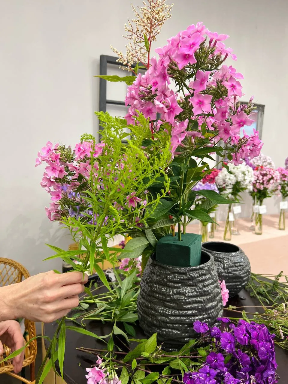 В Ботаническом саду Петра Великого мотивируют выставку «Мир флоксов»🌸

На выставке будут представле