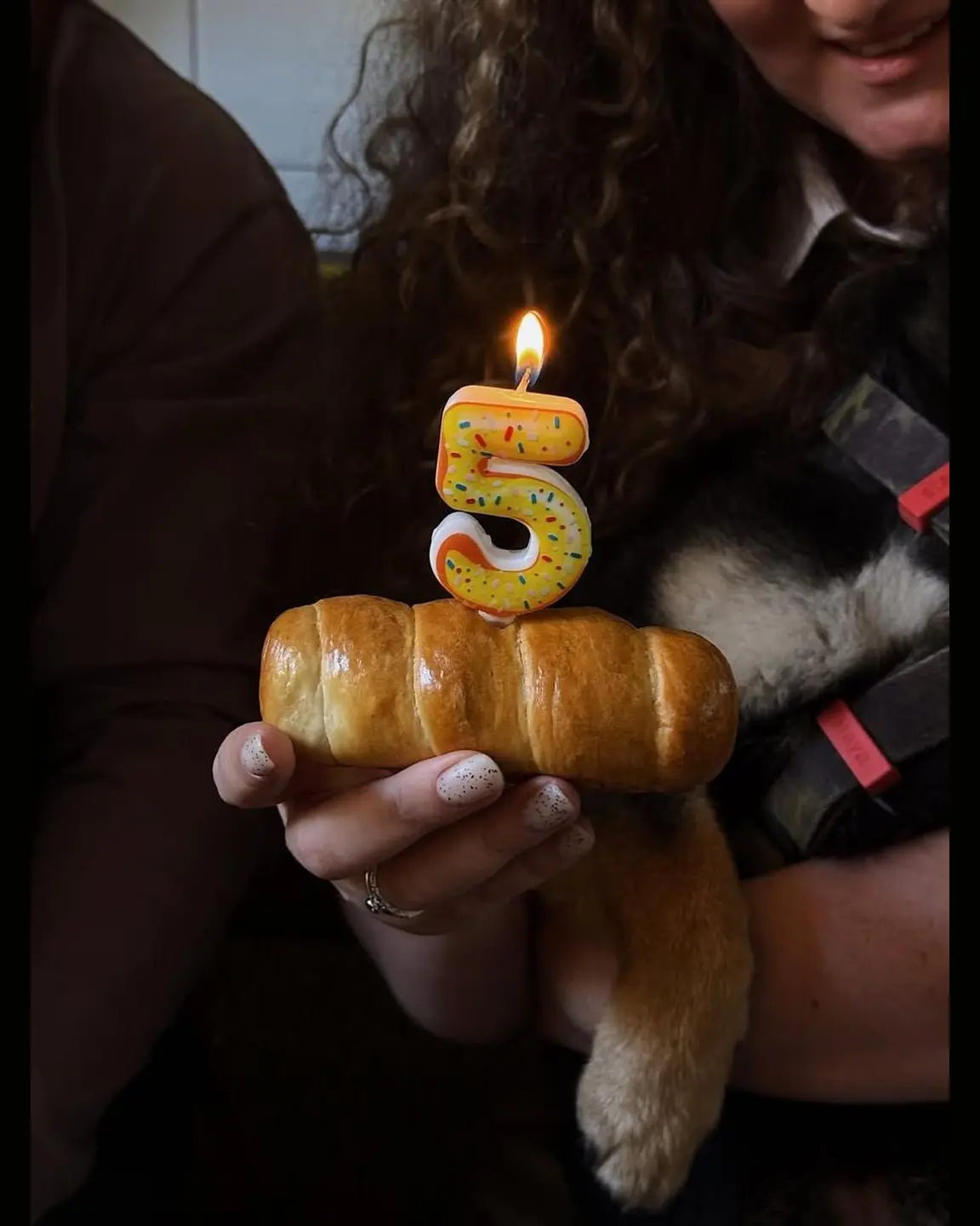 Рюмочной «Ипполит» — 5 лет! Команда запустила свою версию «хэппи мил» — Ippo Meal.  Внутри коробки —